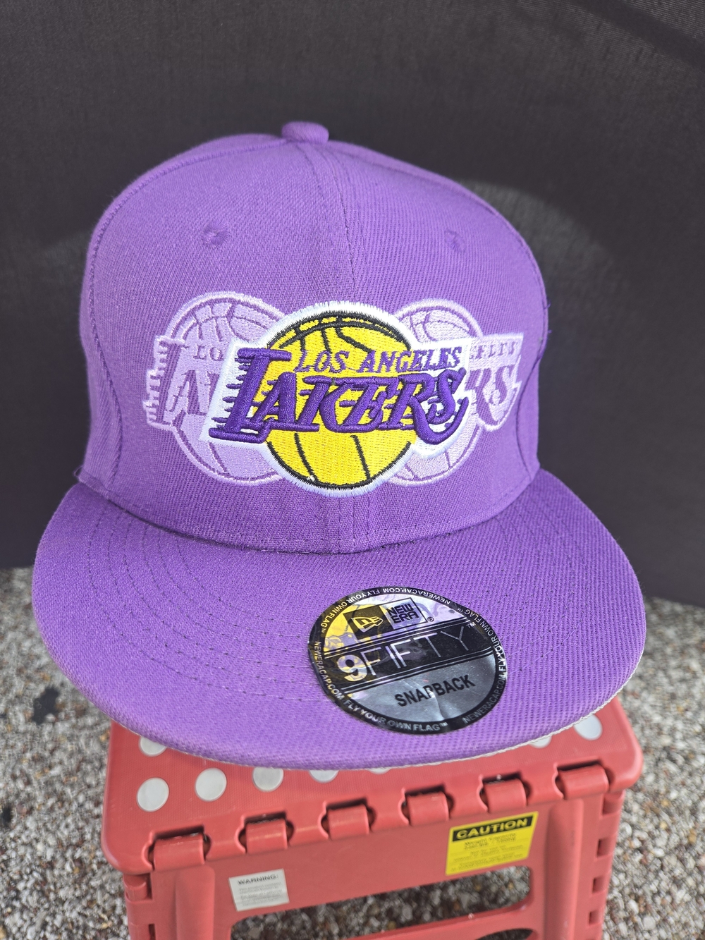 Los Angeles Lakers Purple Snapback Hat